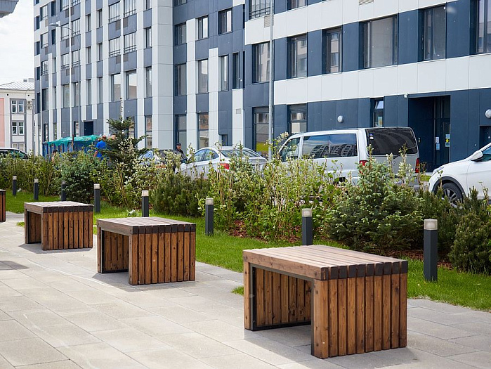 Золотая звезда